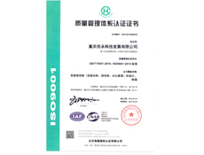 重庆91视频网站在线观看设计